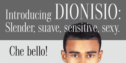 Dionisio Font Poster 18