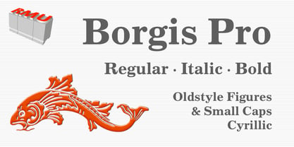 Borgis Pro Font Poster 1