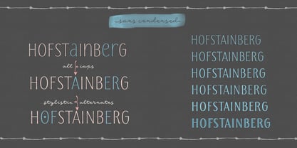 Storyteller Font Poster 8