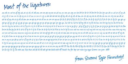 Suomi Hand Script Font Poster 4