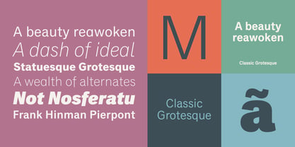 Classic Grotesque Font Poster 3