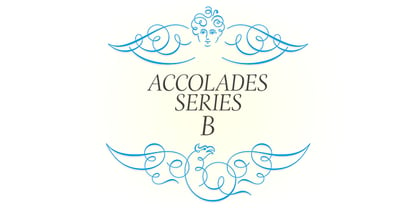 ASTYPE Ornaments Accolades B Font Poster 1