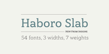 Haboro Slab Font Poster 9