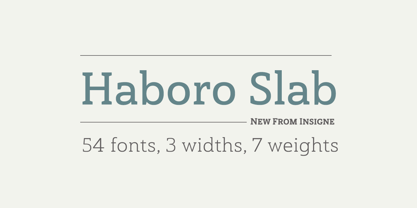 Haboro Slab Fuente Póster 9