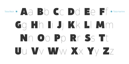 Tosia Font Poster 10