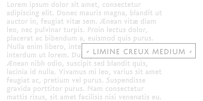 Limine Font Poster 4