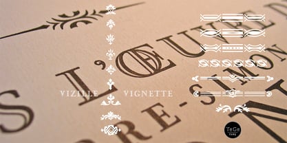 Vizille Font Poster 3