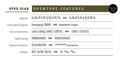 Otsu Slab Font Poster 4