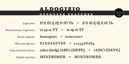 Aldogizio Font Poster 6