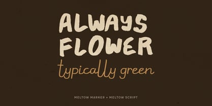 Meltow Font Poster 6