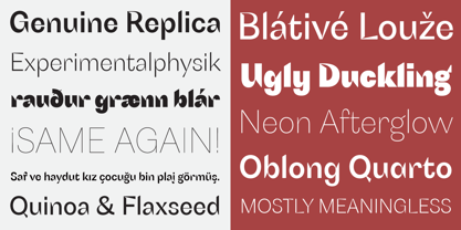 Schizotype Grotesk Fuente Póster 5