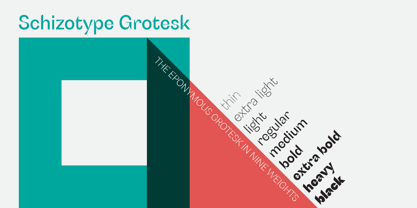 Schizotype Grotesk Font Poster 1