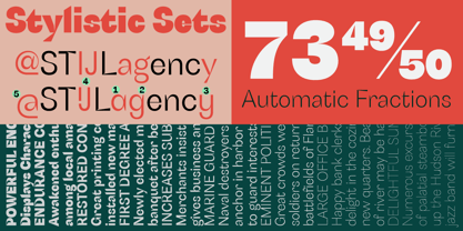 Schizotype Grotesk Font Poster 6