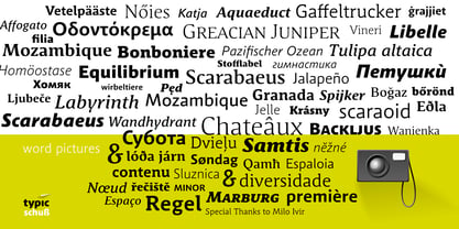 Schuss Slab Pro Font Poster 11