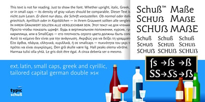 Schuss Slab Pro Font Poster 9