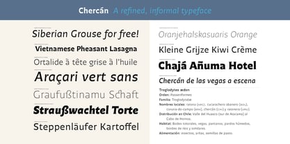 Chercán Font Poster 3