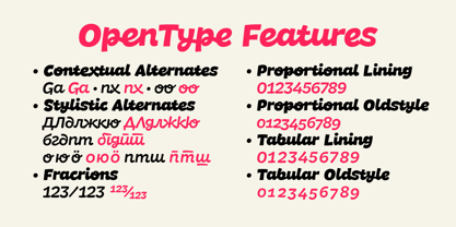 DR Agu Script Font Poster 4