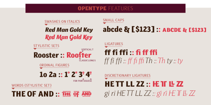 Befter Sans Font Poster 6