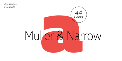 Muller Font Poster 1