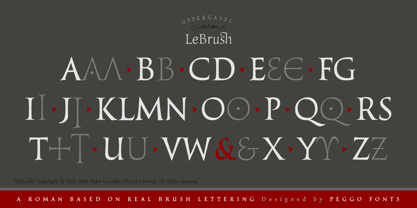 LeBrush Font Poster 4