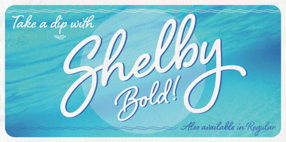 Shelby Font Poster 7