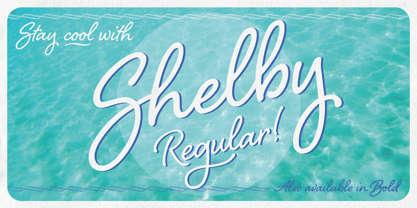 Shelby Font Poster 6