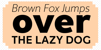 Fox Sans Pro Police Poster 2