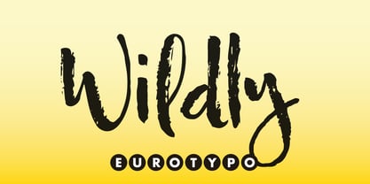 Wildly Font Poster 6