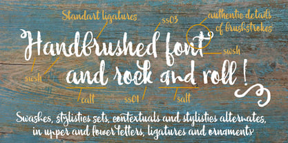 Wildly Font Poster 2