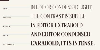 Editor Condensed Font Poster 12