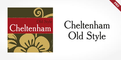 Cheltenham Old Style Pro Font Poster 1