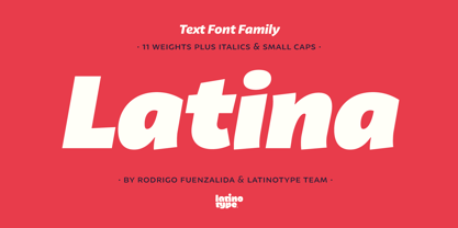 Latina Font Poster 1