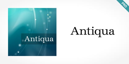 Antiqua Pro Font Poster 5