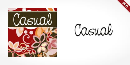 Casual Pro Font Poster 1
