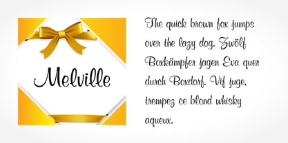 Melville Pro Font Poster 4