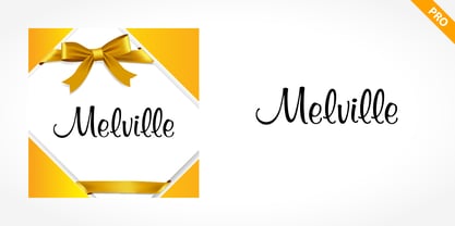 Melville Pro Font Poster 1