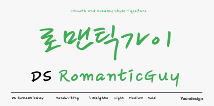 DS RomanticGuy Font Poster 1