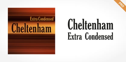 Cheltenham ExtraCondensed Pro Bold Fuente Póster 5