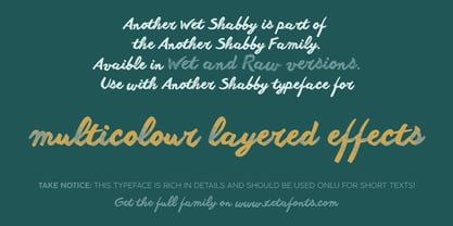 Another Shabby Font Poster 11