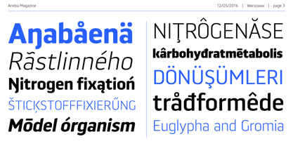 Aneba Neue Font Poster 3