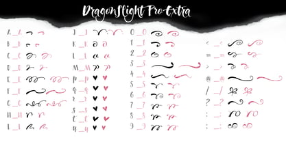 Dragonflight Pro Font Poster 11