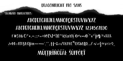 Dragonflight Pro Font Poster 10