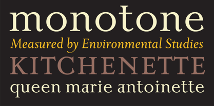 Priori Serif Font Poster 4