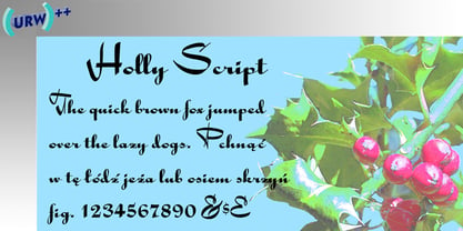 Holly Script Font Poster 1