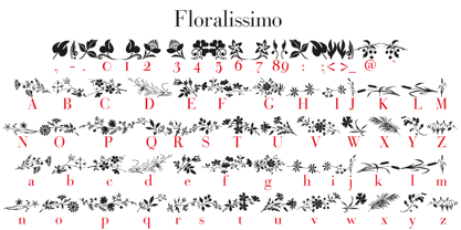 Floralissimo Fuente Póster 1