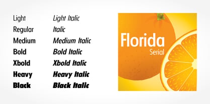 Florida Serial Font Poster 2