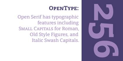 Open Serif Font Poster 3