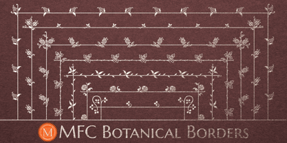 MFC Botanical Borders Fuente Póster 1