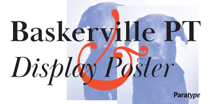 Baskerville Display PT Font Poster 1