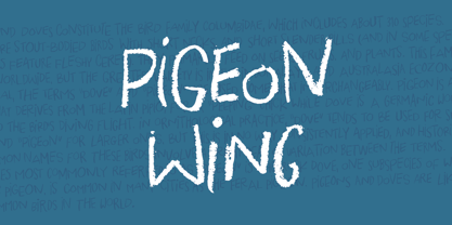 Pigeon Wing Font Poster 1
